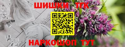 МДПВ Пенза