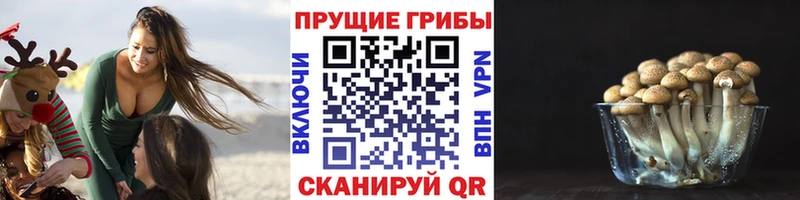 Галлюциногенные грибы Cubensis  Саянск 