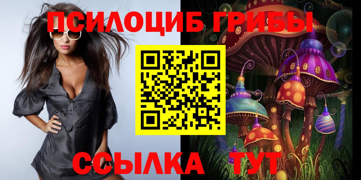 Псилоцибиновые грибы GOLDEN TEACHER  Вход с VPN  Саянск 