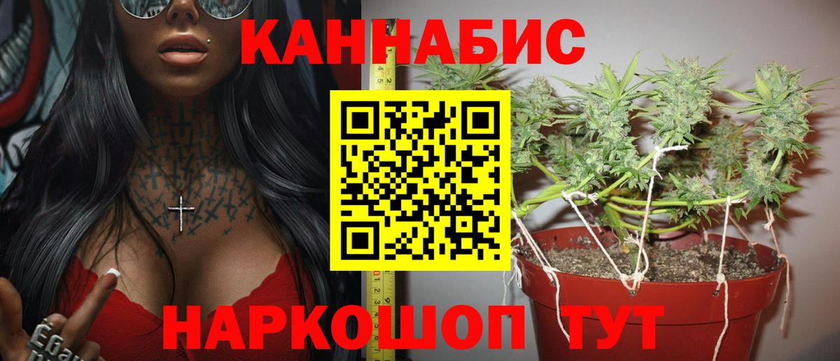 Канабис семена Саянск